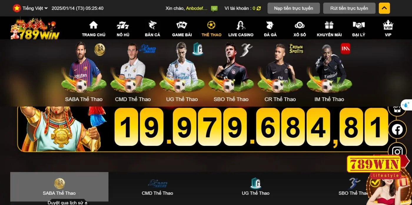 Giới thiệu chung về cá cược bóng đá 789win