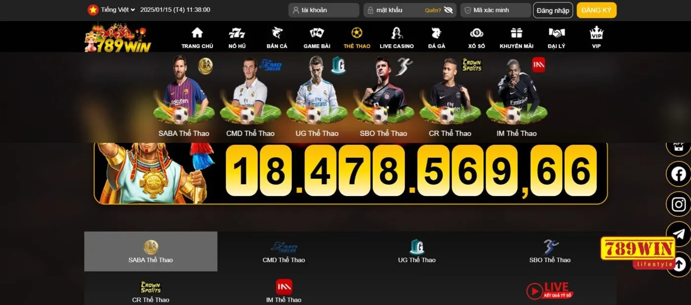 Giới thiệu thông tin tổng quan về cá cược bóng rổ 789win