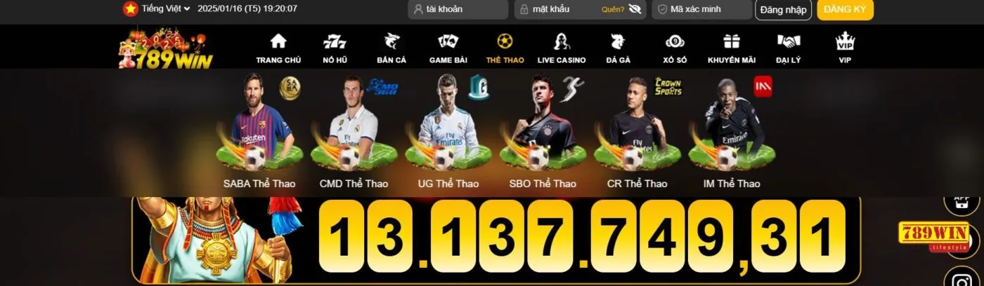 Hướng dẫn cách cá cược cầu lông trên 789win cơ bản nhất