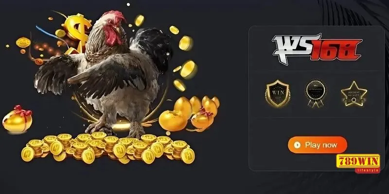 Một số thông tin cơ bản về sảnh Ws168 Đá gà 789Win