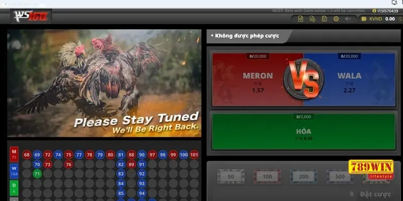 Hướng dẫn quy trình tham gia cá cược Đá gà Ws168 789Win